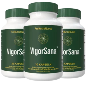 VigorSana